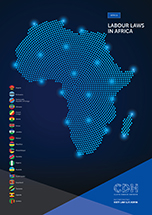 /en/practice-areas/downloads/Labour-Laws-in-Africa.pdf