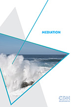/en/practice-areas/downloads/Mediation-Brochure.pdf