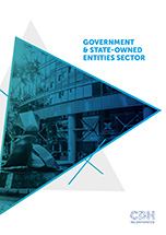  Government and State-Owned Entities sector