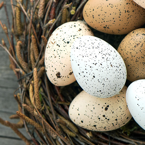 Pensions &  Employee Benefits