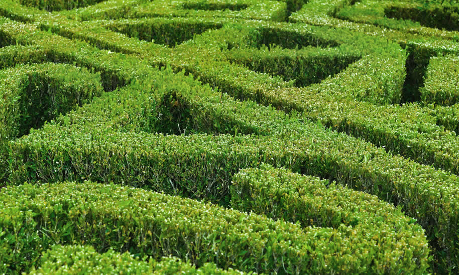 Utilisation of trusts as a planning tool remains under the microscope