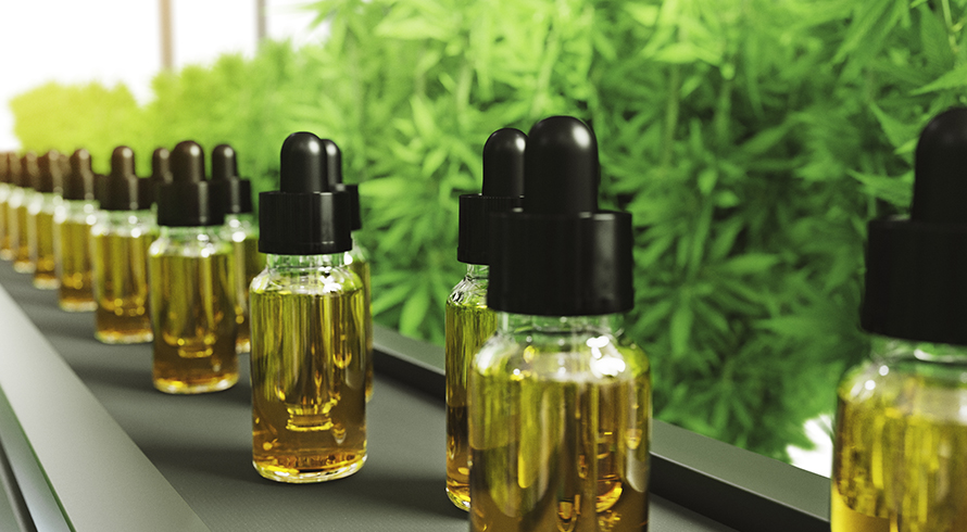 South Africa's current status on the commercialisation of cannabis, especially in light of the publication of long-awaited Regulations