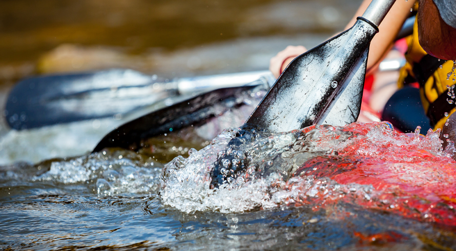 When does an arbitration clause actually apply? Lessons from DIRCO v Neo Thando/Elliot Mobility