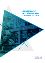 Government and State-Owned Entities sector